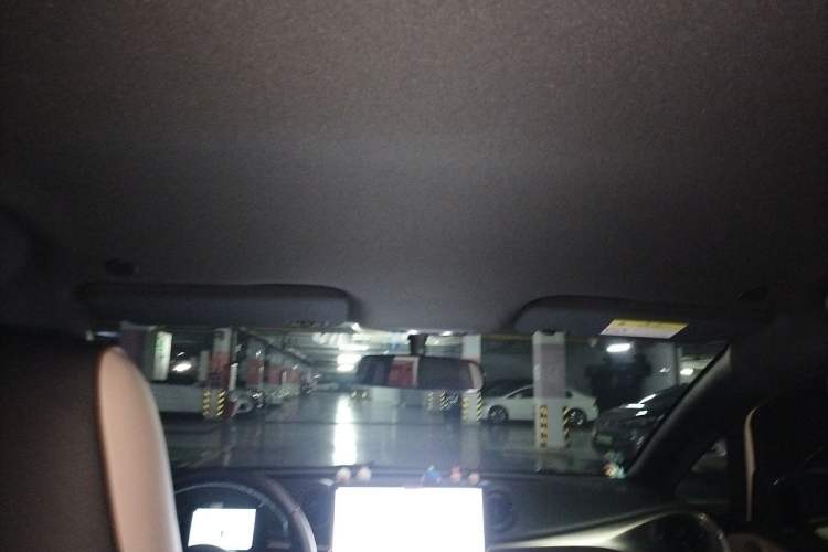 Used BYD Dolphin 2025 420km Free Edition Headliner