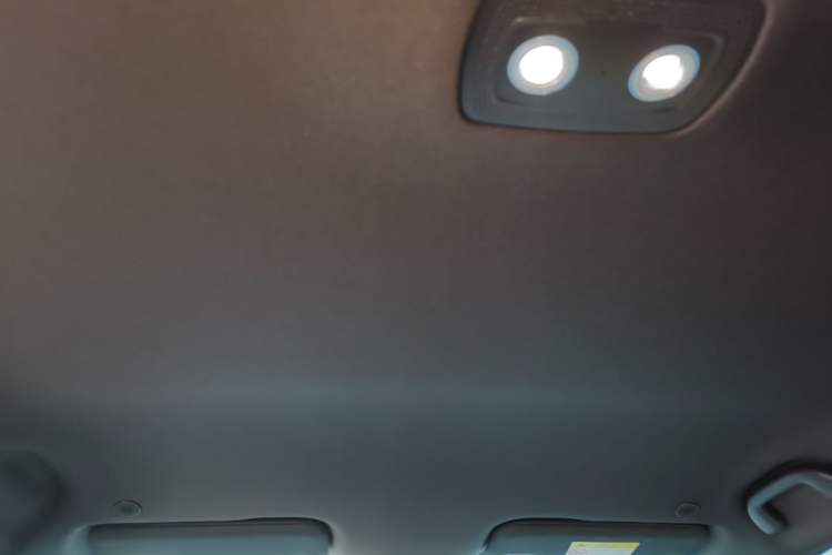 Used BYD Dolphin 2025 420km Free Edition Headliner