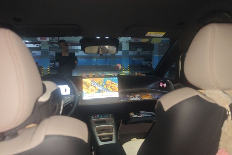 Used BYD Dolphin 2025 Smart Drive Version 420 km Freedom Edition Headliner