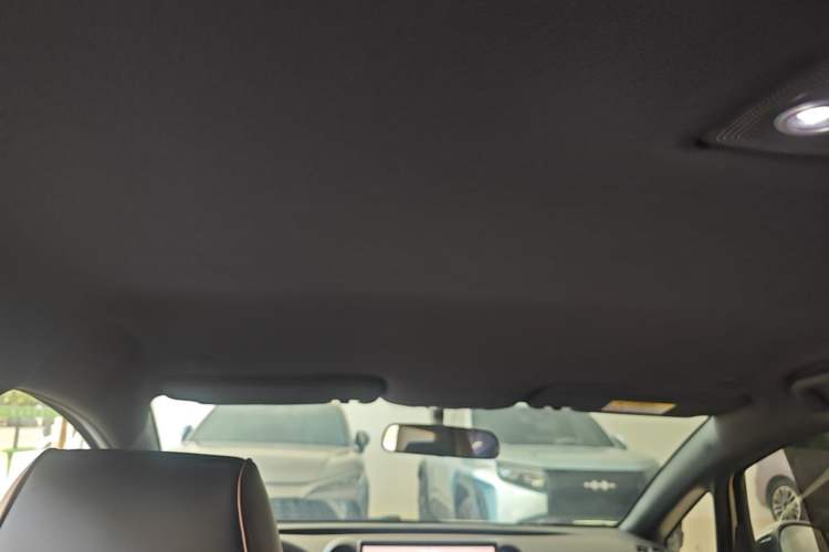 Used BYD Dolphin 2025 420km Free Edition Headliner