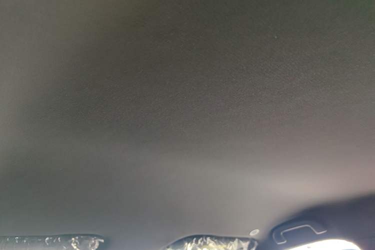 Used BYD Dolphin 2025 420km Free Edition Headliner