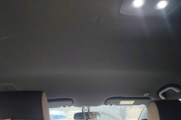 Used BYD Dolphin 2025 420km Free Edition Headliner