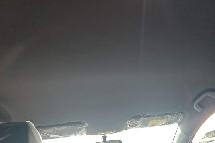 Used BYD Dolphin 2025 420km Free Edition Headliner