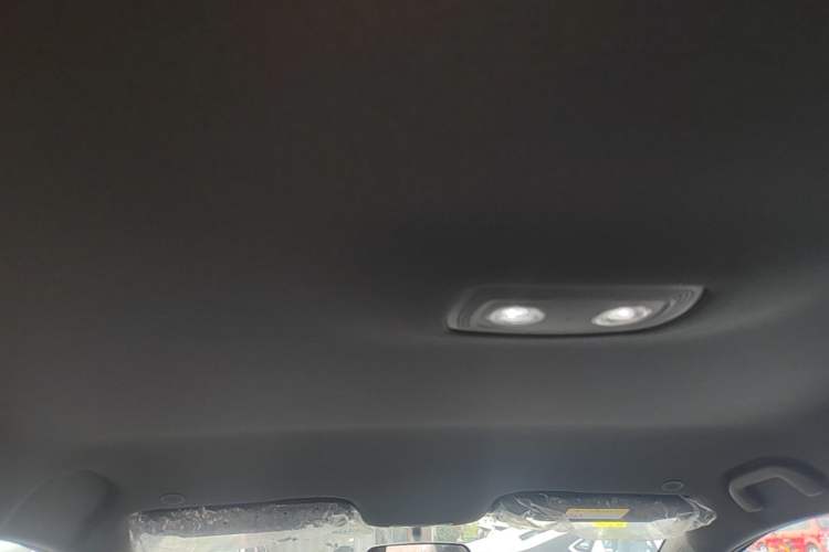 Used BYD Dolphin 2025 420km Free Edition Headliner