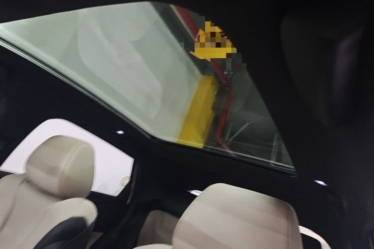 Used BYD Dolphin 2025 Intelligent Driving Version 410 km Fashion Edition Headliner