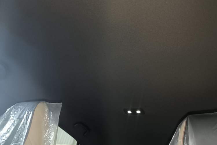 Used BYD Dolphin 2025 420km Free Edition Headliner