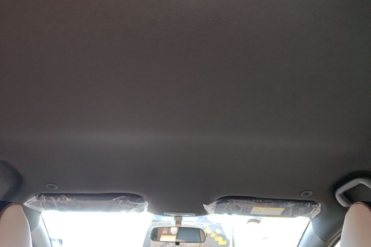 Used BYD Dolphin 2025 420km Free Edition Headliner