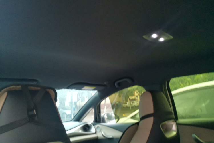Used BYD Dolphin 2025 420km Free Edition Headliner