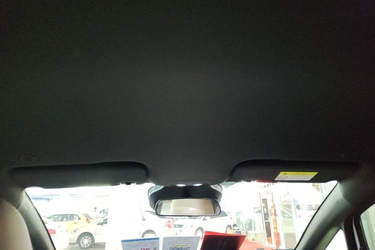 Used BYD Dolphin 2025 Smart Drive Version 420 km Freedom Edition Headliner