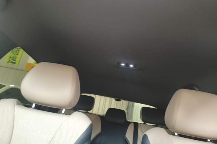 Used BYD Dolphin 2025 Smart Drive Version 420 km Freedom Edition Headliner