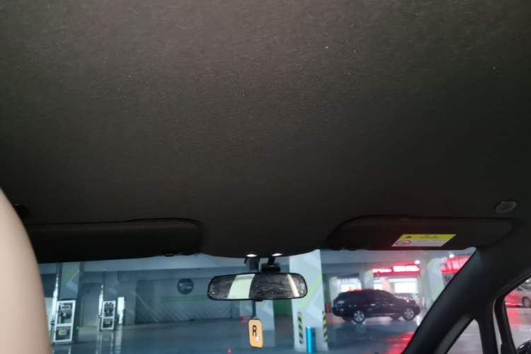 Used BYD Dolphin 2025 420km Free Edition Headliner