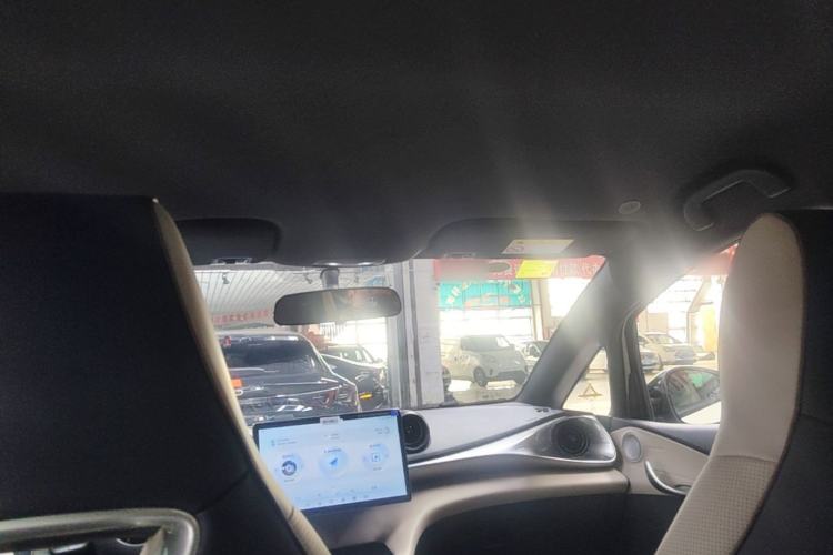 Used BYD Dolphin 2025 420km Free Edition Headliner