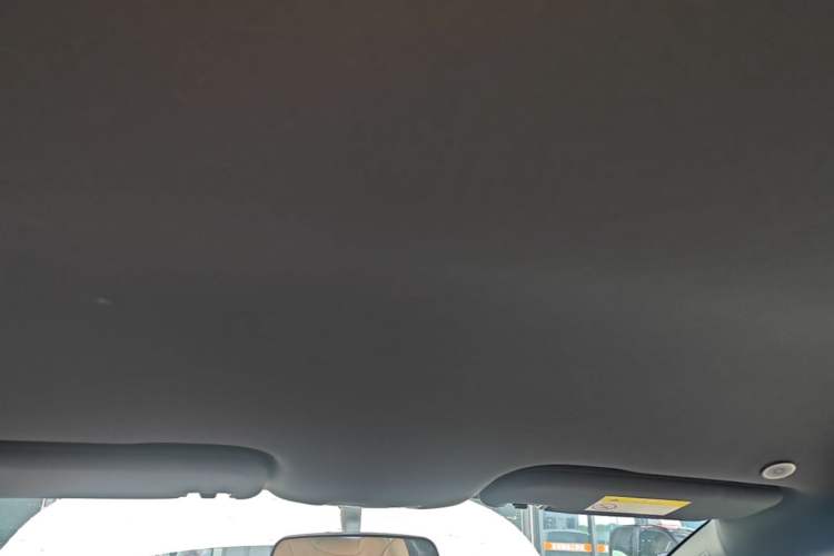 Used BYD Dolphin 2025 420km Free Edition Headliner