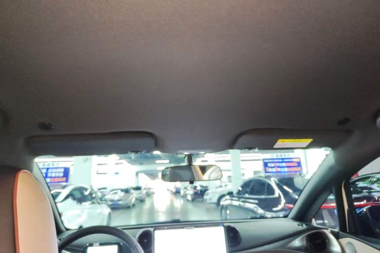 Used BYD Dolphin 2025 Smart Drive Version 420 km Freedom Edition Headliner