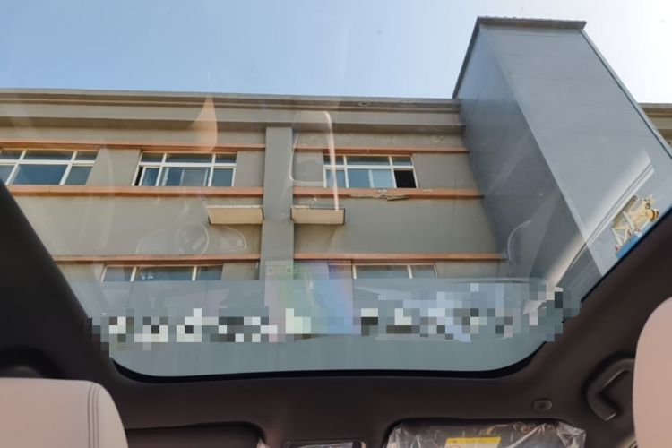 Used BYD Dolphin 2025 Intelligent Driving Version 410 km Fashion Edition Headliner
