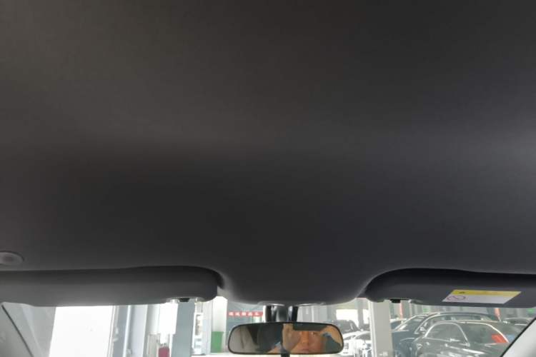 Used BYD Dolphin 2025 420km Free Edition Headliner