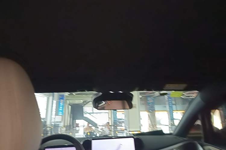 Used BYD Dolphin 2025 Smart Drive Version 420 km Freedom Edition Headliner