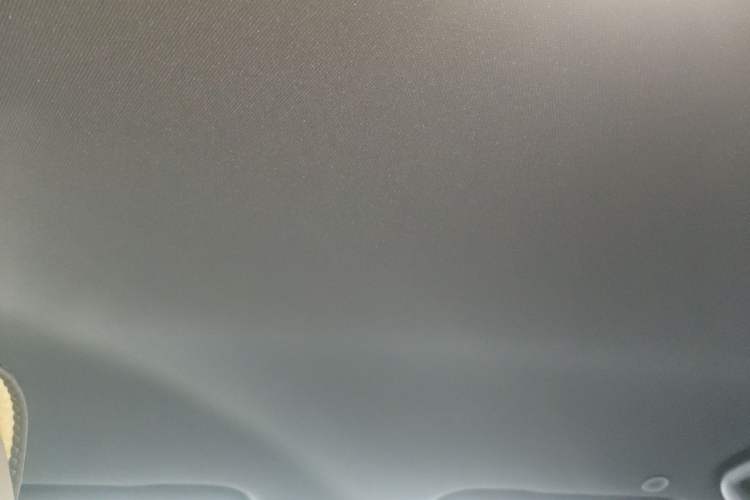Used BYD Dolphin 2025 Smart Drive Version 420 km Freedom Edition Headliner