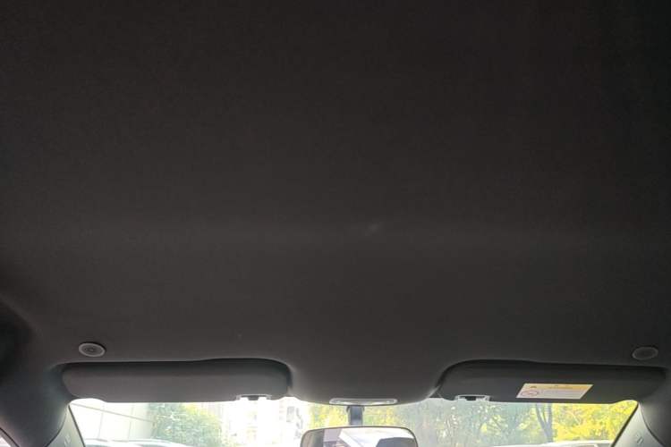 Used BYD Dolphin 2025 420km Free Edition Headliner