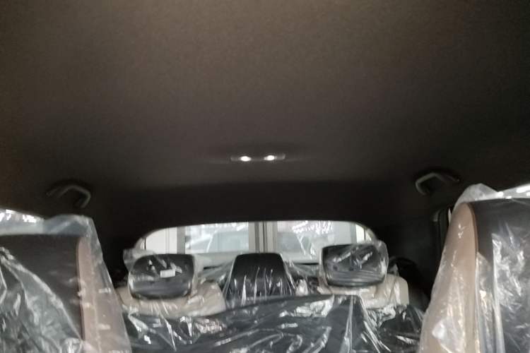 Used BYD Dolphin 2025 420km Free Edition Headliner