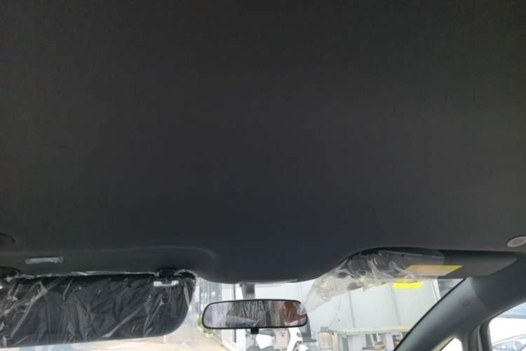 Used BYD Dolphin 2025 420km Free Edition Headliner