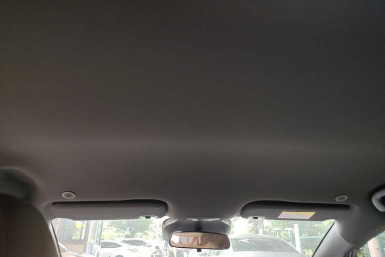 Used BYD Dolphin 2025 Smart Drive Version 420 km Freedom Edition Headliner