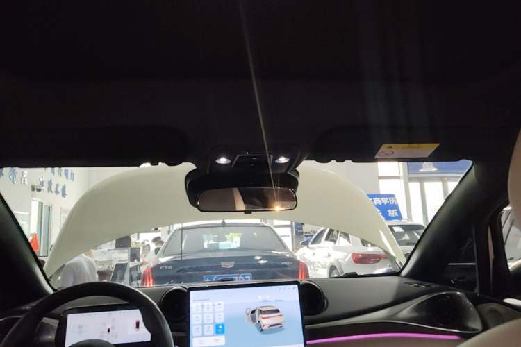 Used BYD Dolphin 2025 Intelligent Driving Version 410 km Fashion Edition Headliner