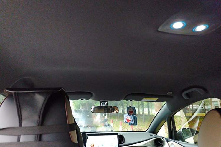 Used BYD Dolphin 2025 420km Free Edition Headliner
