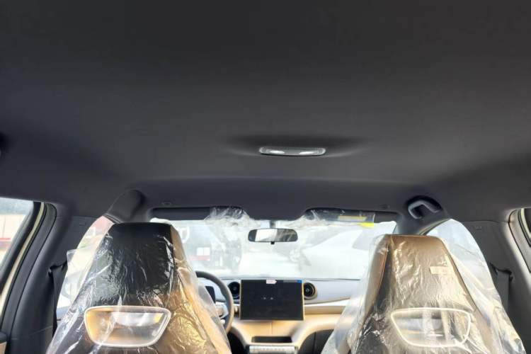 Used BYD Dolphin 2025 420km Free Edition Headliner