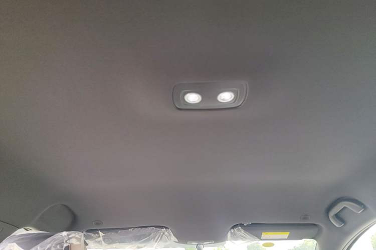 Used BYD Dolphin 2025 420km Free Edition Headliner
