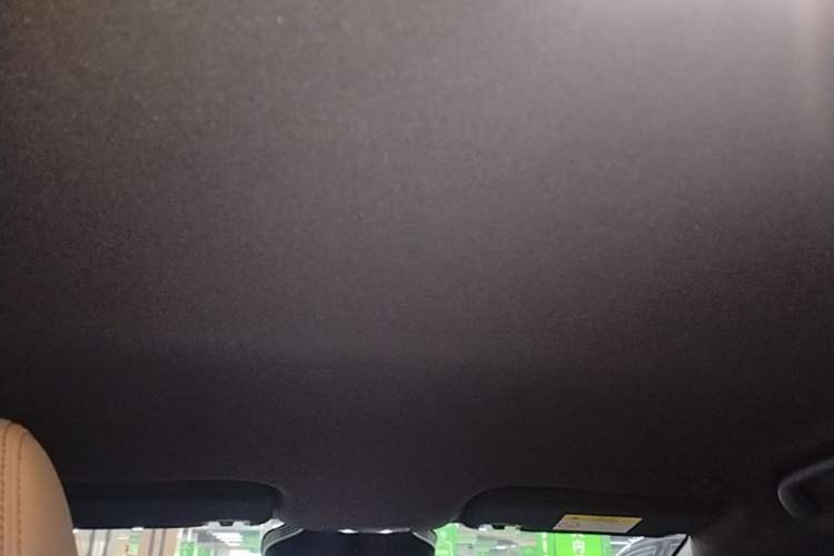 Used BYD Dolphin 2025 Smart Drive Version 420 km Freedom Edition Headliner