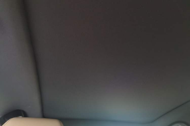 Used BYD Dolphin 2025 Intelligent Driving Version 410 km Fashion Edition Headliner