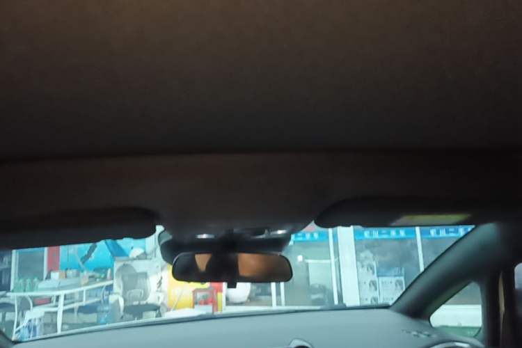 Used BYD Dolphin 2025 Intelligent Driving Version 520km Range Knight Edition Headliner