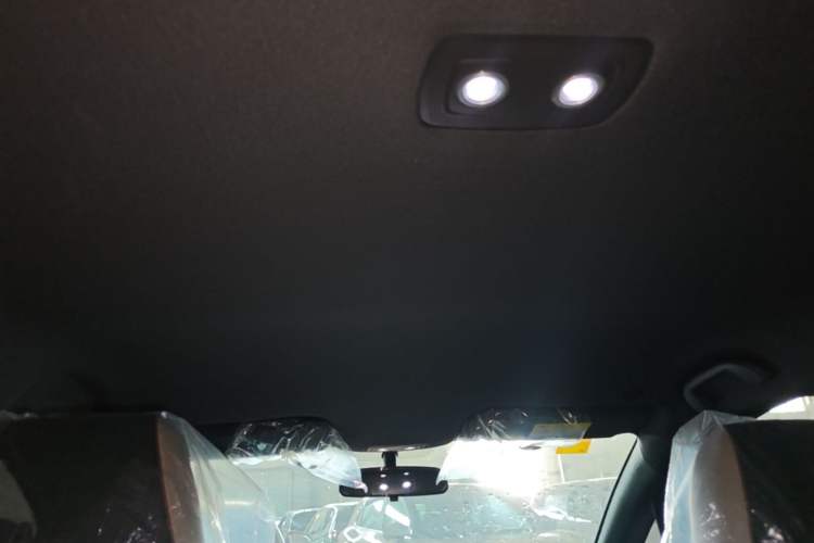 Used BYD Dolphin 2025 420km Free Edition Headliner