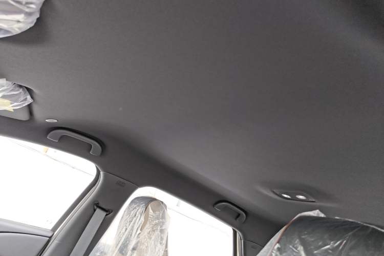 Used BYD Dolphin 2025 420km Free Edition Headliner