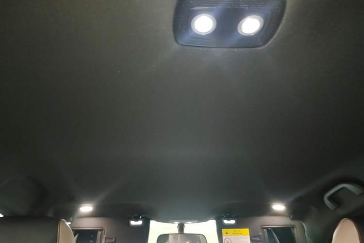 Used BYD Dolphin 2025 420km Free Edition Headliner