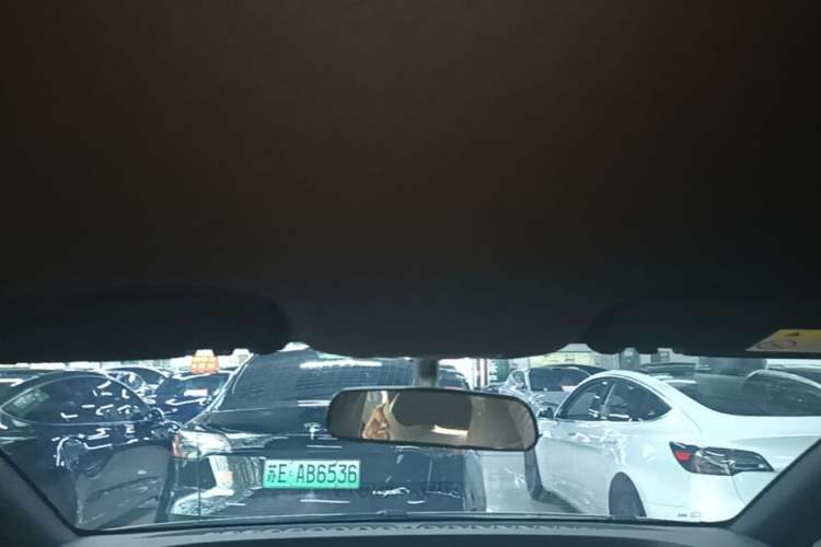 Used BYD Dolphin 2025 420km Free Edition Headliner