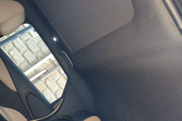Used BYD Dolphin 2025 Intelligent Driving Version 520km Range Knight Edition Headliner