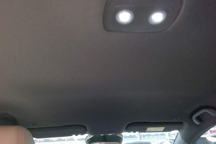 Used BYD Dolphin 2025 Smart Drive Version 420 km Freedom Edition Headliner