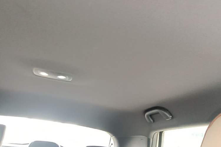 Used BYD Dolphin 2025 420km Free Edition Headliner