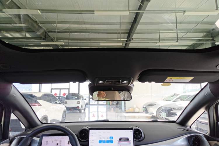 Used BYD Dolphin 2025 Intelligent Driving Version 410 km Fashion Edition Headliner