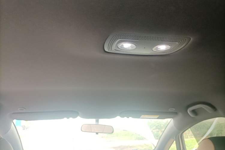 Used BYD Dolphin 2025 420km Free Edition Headliner
