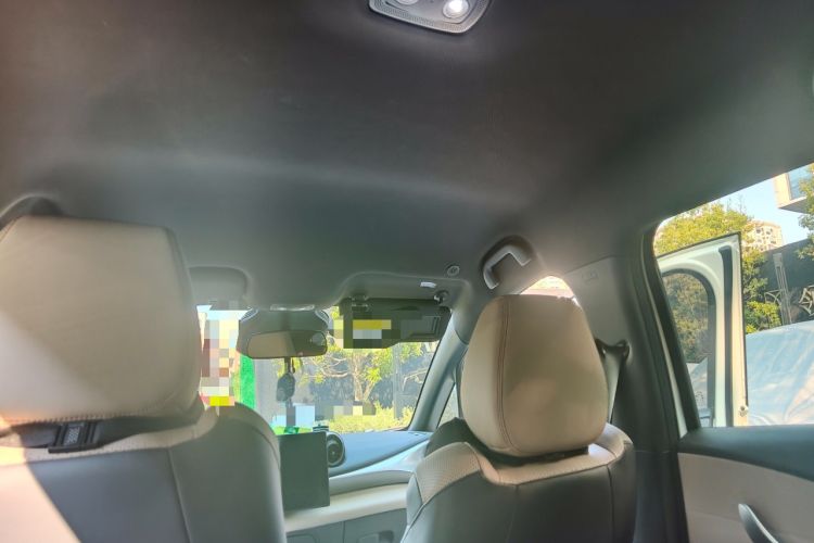 Used BYD Dolphin 2025 Smart Drive Version 420 km Freedom Edition Headliner