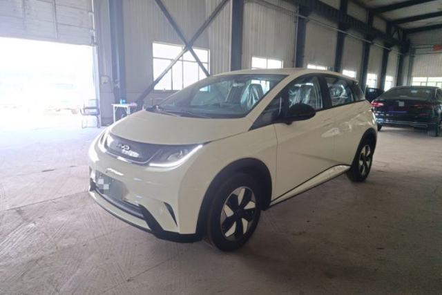 Used BYD Dolphin 2025 420km Free Edition