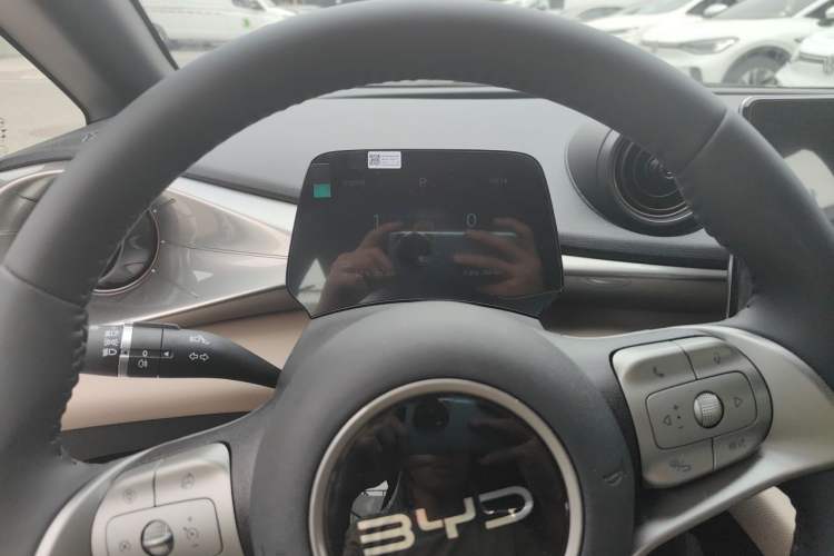 Used BYD Dolphin 2025 420km Free Edition Instrument Cluster