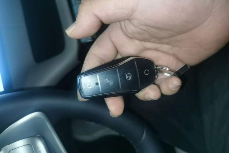 Used BYD Dolphin 2025 420km Free Edition Interior 1