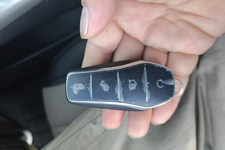 Used BYD Dolphin 2025 Smart Drive Version 420 km Freedom Edition Interior 1