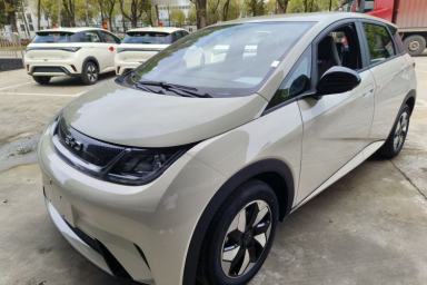 Used BYD Dolphin 2025 420km Free Edition