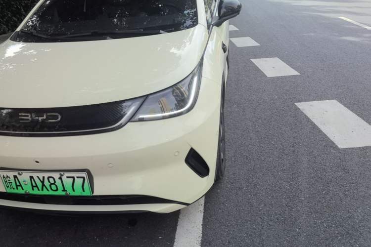 Used BYD Dolphin 2025 Smart Drive Version 420 km Freedom Edition Left Front Headlight