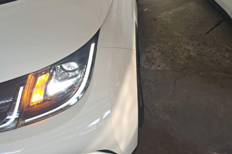 Used BYD Dolphin 2025 420km Active Version Left Front Headlight